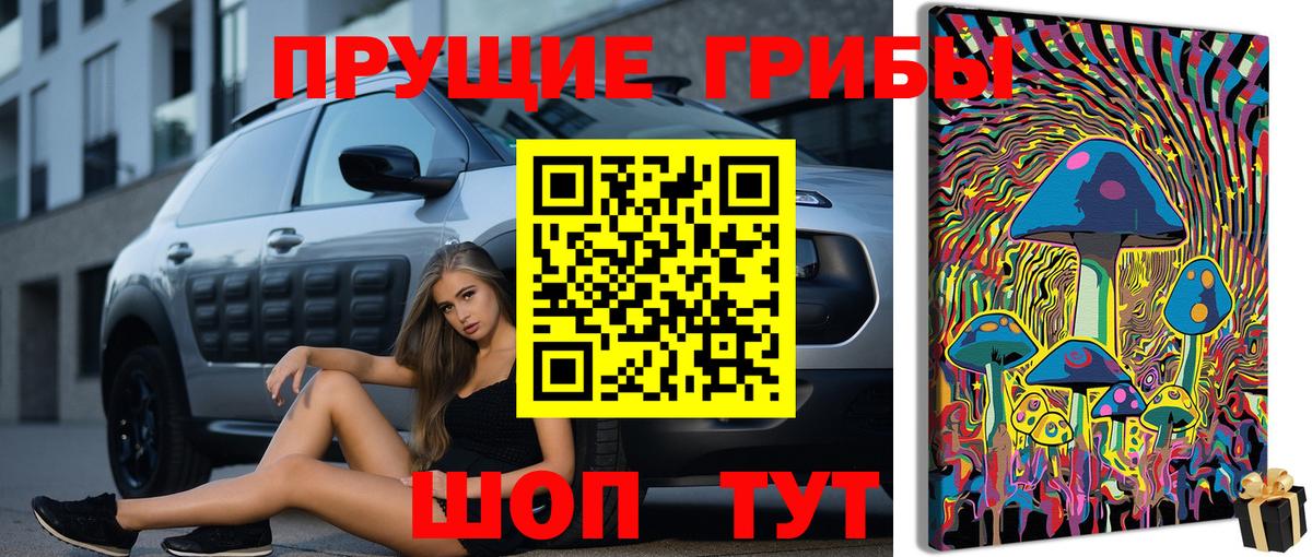 Псилоцибиновые грибы GOLDEN TEACHER Лабинск